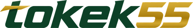 Logo tokek55